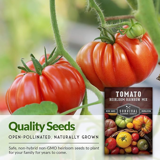 Survival Garden Seeds - Heirloom Rainbow Mix Tomato Seed for Planting - 3 Packets with Instructions to Plant and Grow in Your Home Vegetable Garden - Non-GMO Heirloom Variety - 3 Packs