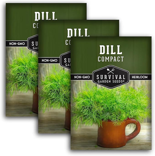 Survival Garden Seeds Compact Dill for Planting - 3 Seed Packets with Instructions to Plant & Grow Container Sized Dwarf Dill Herb Plants in Your Home Garden - Non-GMO Heirloom Variety