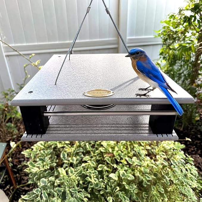 DutchCrafters Poly Gilbertson Large Covered Blue Bird Feeders for Outdoors Hanging, Bluebird Feeder for Mealworms - Amish USA Made (Light Gray & Black)