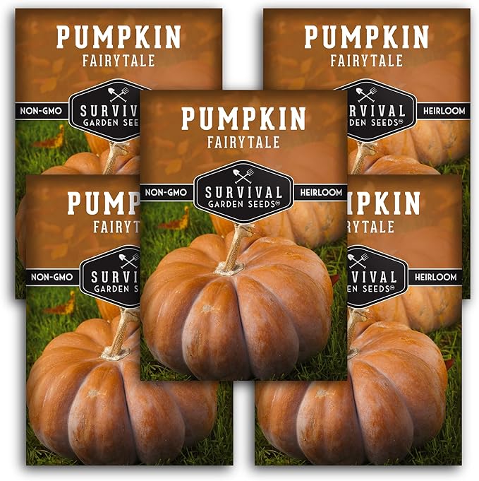 Survival Garden Seeds - Fairy Tale Pumpkin Seed for Planting - 5 Packs with Instructions to Plant and Grow Pumpkins in Your Home Vegetable Garden - Non-GMO Heirloom Variety