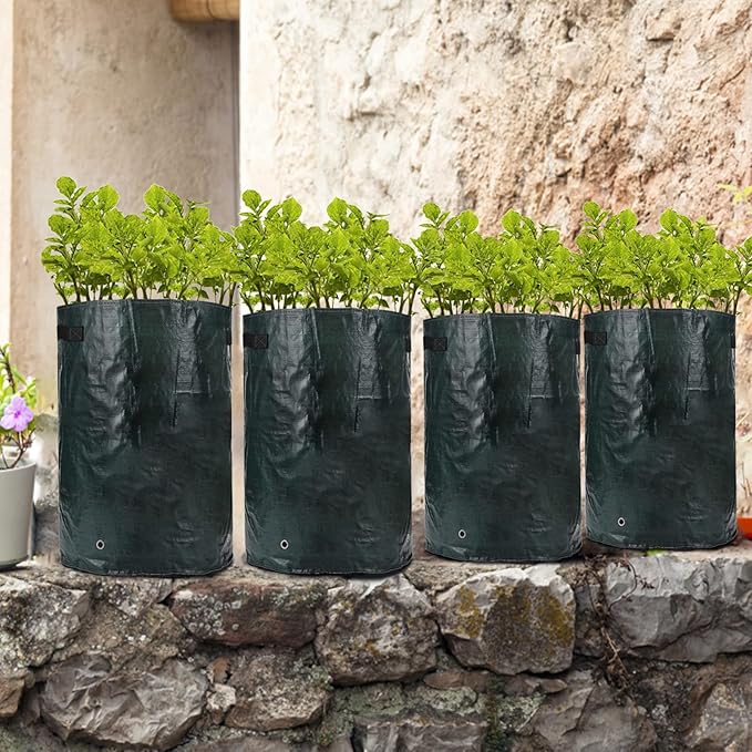 ANPHSIN 4 Pack 10 Gallon Garden Potato Grow Bags with Flap and Handles Aeration Fabric Pots Heavy Duty Vegetable Planter Bag for Tomato, Fruits