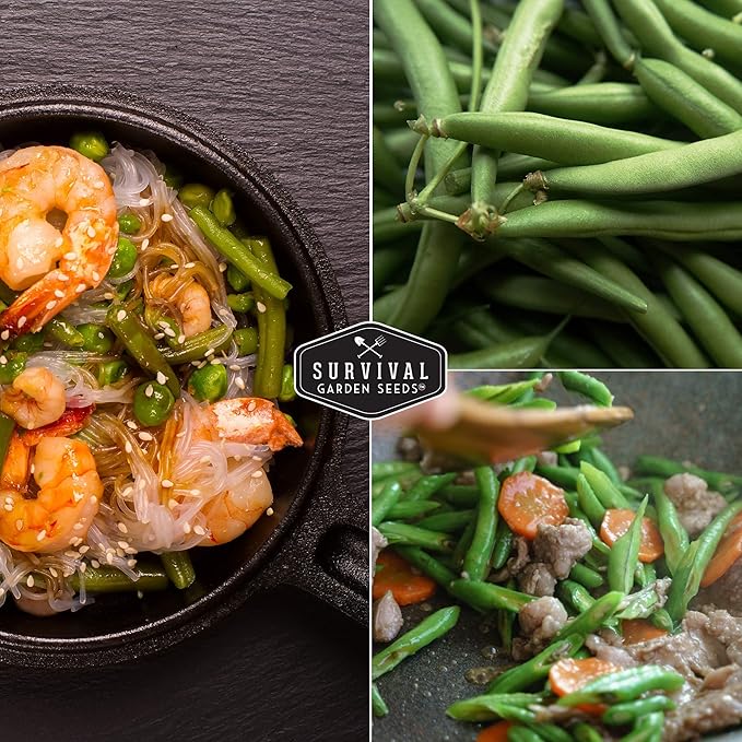 Survival Garden Seeds - Kentucky Wonder Pole Bean Seed for Planting - 2 Packs with Instructions to Plant and Grow Green Snap Beans in Your Home Vegetable Garden - Non-GMO Heirloom Variety