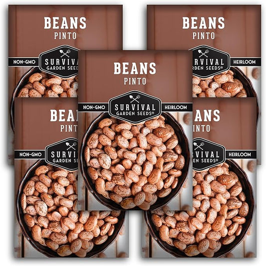 Pinto Bean Seeds for Planting - 5 Packets with Instructions for Growing Mottled/Peruano Beans in The Home Vegetable Garden - Non-GMO Open-Pollinated Heirloom & Untreated - Survival Garden Seeds
