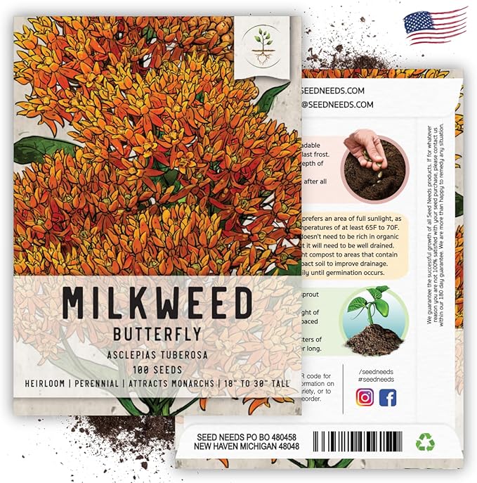 Seed Needs Orange Butterfly Milkweed Seeds for Planting - Heirloom & Untreated - Grow a Butterfly Garden to Attract Monarch Butterflies & Pollinators (2 Packs)
