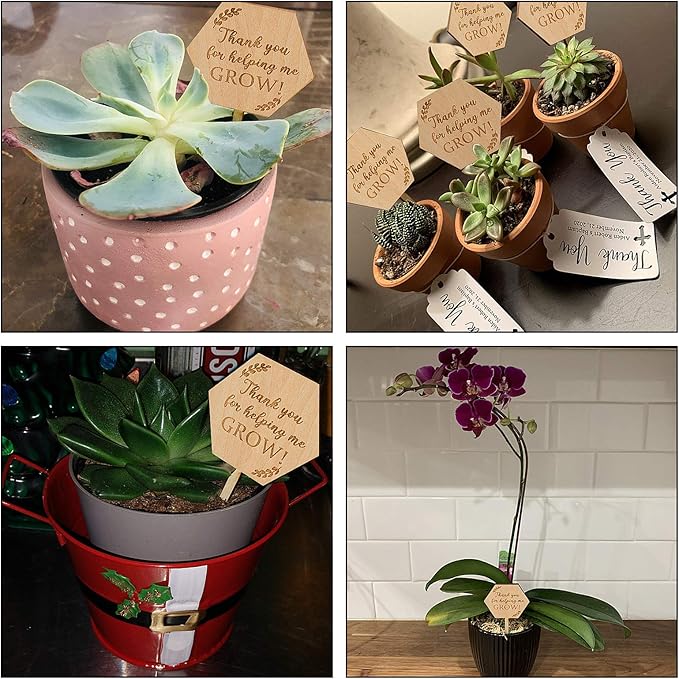 Thank You for Helping Me Grow Succulent Tags Teacher Appreciation Gifts, PARBEE 20PCS Hexagon Plant Stakes Labels Gift for Mother's Day Christmas Thanksgiving Baby Shower