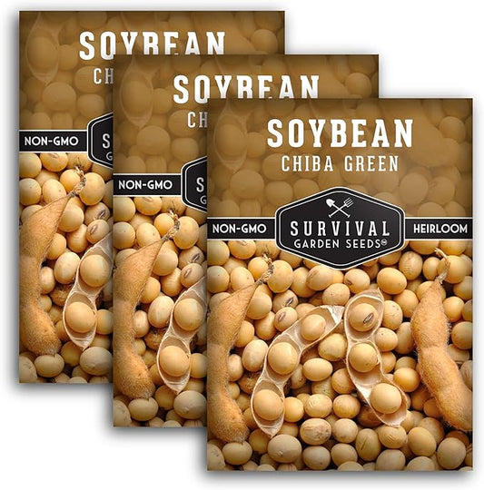 Survival Garden Seeds - Chiba Green Soybean Seed for Planting - 3 Packs with Instructions to Plant and Grow Protein-Rich Edamame Pods in Your Home Vegetable Garden - Non-GMO Heirloom Variety
