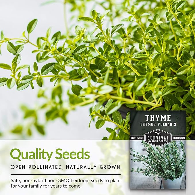 Survival Garden Seeds - Thyme Seed for Planting - 2 Packs with Instructions to Plant and Grow Thymus Vulgaris Herb Plants in Your Home Vegetable Garden - Non-GMO Heirloom Variety
