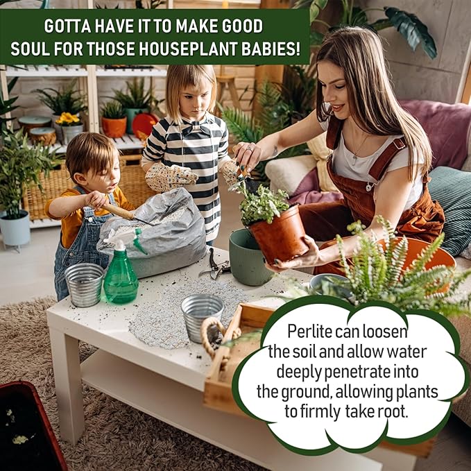 40QT Horticultural Perlite Bulk, Organic Perlite for Plants, Course Perlite for Gardening, for Plants Indoor, for Houseplants, to Promotes Soil Root Growth, and Water Drainage and Plant Growth(3-6mm)