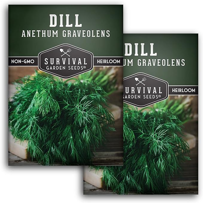 Survival Garden Seeds - Dill Seed for Planting - Packet with Instructions to Plant and Grow Popular Pickling Herbs in Your Home Vegetable and Herb Garden - Non-GMO Heirloom Variety - 2 Pack