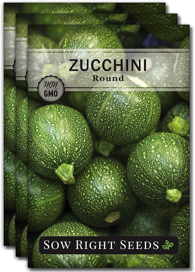Sow Right Seeds - Round Zucchini Seed for Planting - Non-GMO Heirloom Packet with Instructions to Plant a Home Vegetable Garden - Unique Globe Squash - Summer Vining Variety (3)