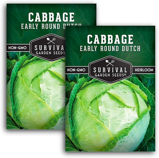 Survival Garden Seeds - Early Round Dutch Cabbage Seed for Planting - 2 Packs with Instructions to Plant and Grow Green Cabbages in Your Home Vegetable Garden - Non-GMO Heirloom Variety