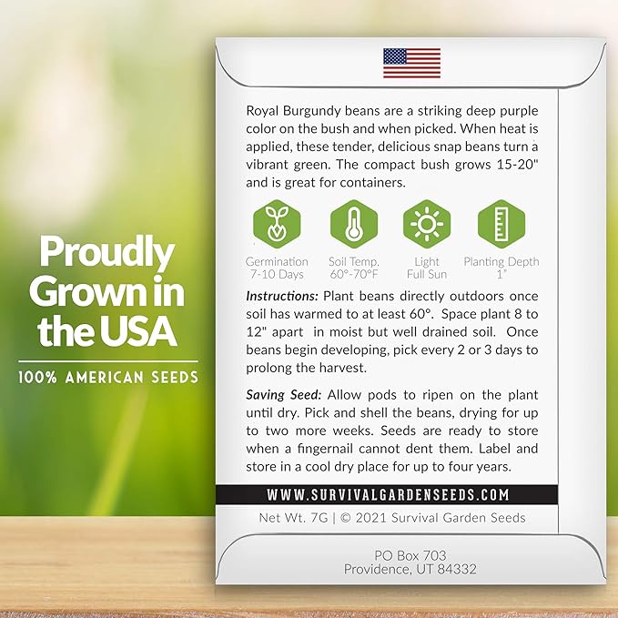 Survival Garden Seeds - Royal Burgundy Bean Seed for Planting - Packet with Instructions to Plant and Grow Stringless Purple Bush Beans in Your Home Vegetable Garden - Non-GMO Heirloom Variety