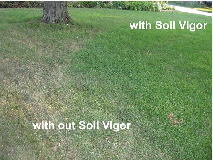 Water Storing Crystal Soil Additive Commercial Grade (20)