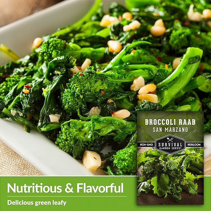 San Marzano Broccoli Raab Seed for Planting - 5 Packets with Instructions to Plant and Grow Rabe or Rapini Broccoli in Your Home Vegetable Garden - Non-GMO Heirloom Variety - Survival Garden Seeds