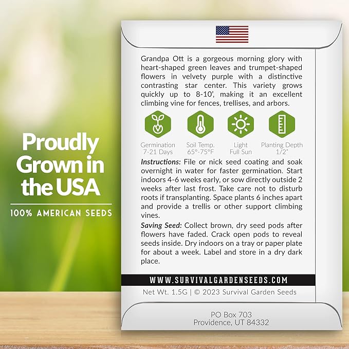 Survival Garden Seeds - Grandpa OTT Morning Glory Seed for Planting - Packet with Instructions to Plant and Grow Ipomoea Purpurea in Your Home Vegetable Garden - Non-GMO Heirloom Variety