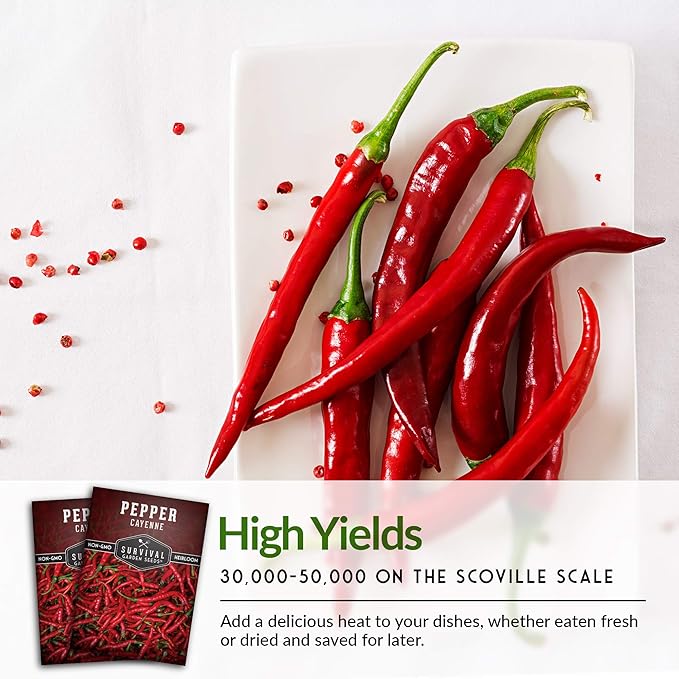 Survival Garden Seeds - Red Cayenne Pepper Seed for Planting - Packet with Instructions to Plant and Grow Hot Chili Peppers in Your Home Vegetable Garden - Non-GMO Heirloom Variety - Single Pack