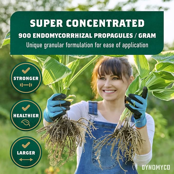 DYNOMYCO Mycorrhizal Inoculant - Plant Growth & Root Treatment, Concentrated Mycorrhiza Formula, Boosts Nutrient Uptake, Mycorrhizae Plant Food for Resilience & Fertilizer (340g / 12oz)