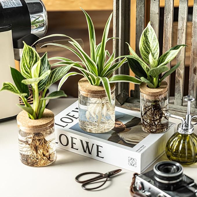 Glass Propagation Stations for Plants -Desktop Flower Vases,Propagation Flower Vases Set – 2 Sizes Planter Propagated Jars ,for Plant Cuttings,for Living Room, Bedroom Decoration,Home,Office Decor(8)