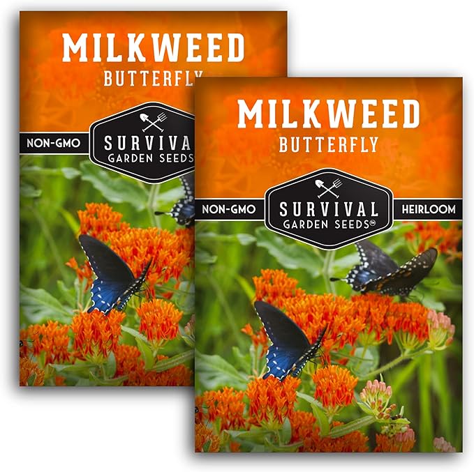 Butterfly Milkweed Seeds for Planting - 2 Packs with Instructions to Grow Asclepias Tuberosa - Attract Butterflies & Help Conservation - Non-GMO Heirloom Open-Pollinated - Survival Garden Seeds
