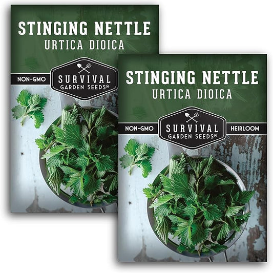 Stinging Nettle Seed for Planting - 2 Packets with Instructions to Plant and Grow Medicinal Herb Common Stinging Nettle in Your Home Herb Garden - Non-GMO Heirloom Variety - Survival Garden Seeds