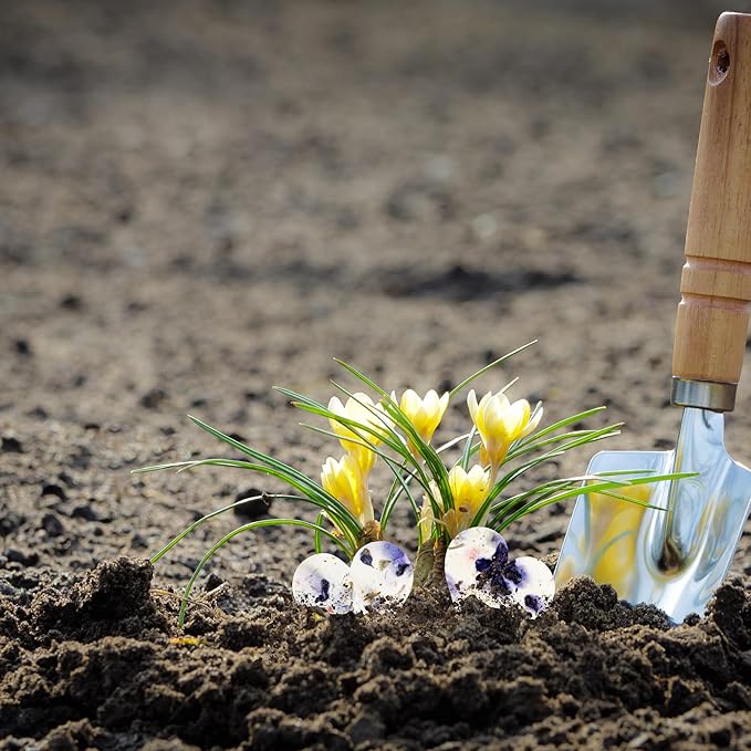 50 pcs Large Purple Hearts – Plantable Seed Paper for Weddings, Gifts, and Life Events (#45s)