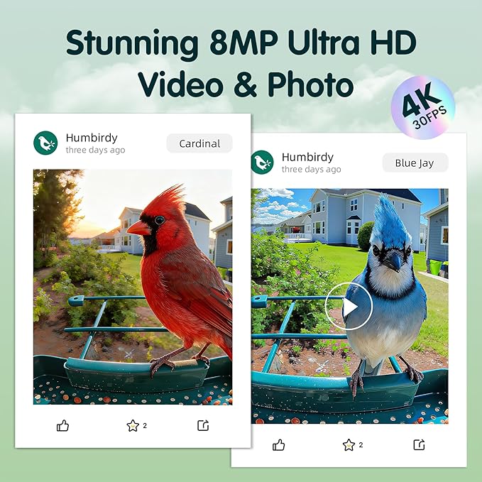 Humbirdy-Bird Feeder with Camera, 8MP Ultra HD Video & Photo, 10x Slow-Motion, 4K 30fps Live View, AI Identify, No Subscription, 2.4G/5G Wi-Fi, Solar Powered, Wildbird Watching Gifts-Metal