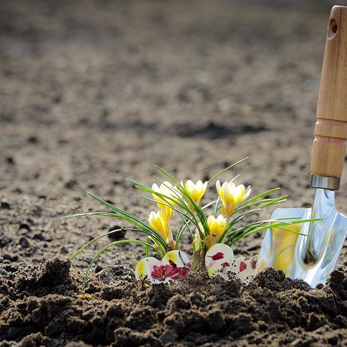 50 pcs Small Pink and Yellow Hearts – Plantable Seed Paper for Weddings, Gifts, and Life Events (#37s)