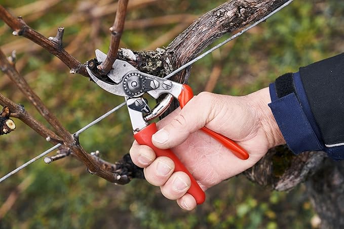 Felco F 15 Pruning Shears – 4.7" Garden Clippers with Rubber Grip & Anvil Blade | Hand Pruners for Gardening | Garden Tool Cutter with Forged Aluminum Handle, Lightweight Precision for Small Hands