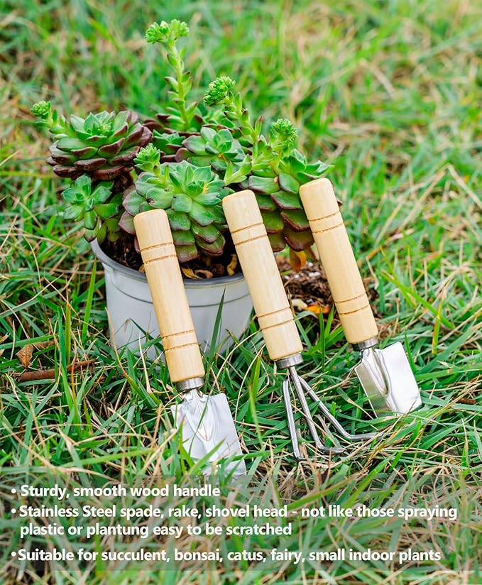 5Pcs Succulent Tools Mini Garden Small Gardening Tools Indoor, Pruning Shear Gardening Scissors, Hand kit for Bonsai, Cactus, Fairy, Houseplant of Transplanting, Repotting, Seedling Soil