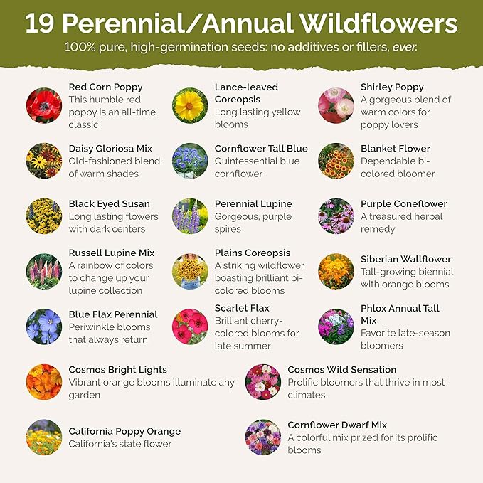 Eden Brothers New York Wildflower Mixed Seeds for Planting, 5 lbs, 2,400,000+ Seeds with Coneflower, Cosmos | Attracts Pollinators, Plant in Spring or Fall, Zones