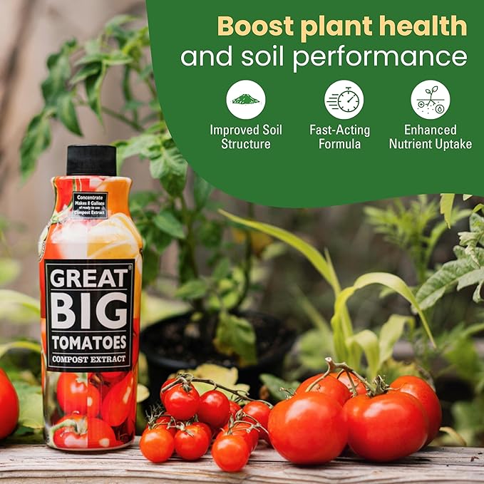 Great Big Tomatoes – Soil and Tomato Fertilizer Booster to Grow The Tastiest Tomatoes and Veggies; 2.5 Gallon Concentrate (Makes 80 Gallons)