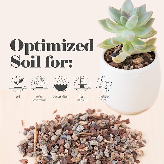 Succulent and Cactus Soil - Jacks Gritty Mix - 12 Gallons – Fast Draining – Fight Root Rot – Optimized pH