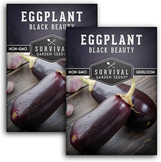 2 Packs Black Beauty Eggplant Seed for Planting - Packet with Instructions to Grow Purple Aubergine Plants in Your Home Vegetable Garden - Non-GMO Heirloom Variety - Survival Garden Seeds