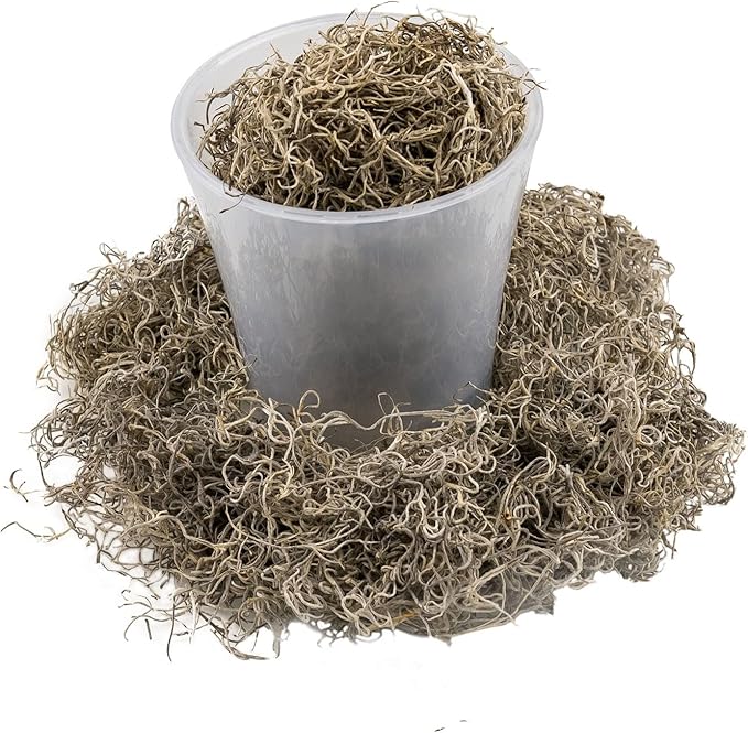 Gardenera Premium Natural Spanish Moss | Natural Preserved - Great Ground Cover - Filler for Potted Plants - 5 Quart Bag