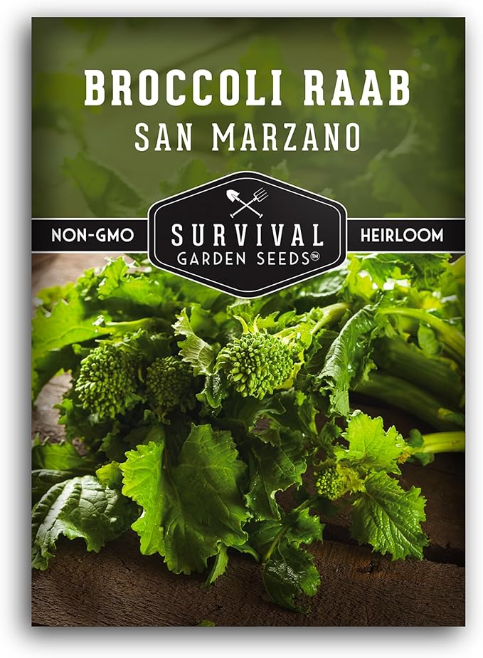 San Marzano Broccoli Raab Seed for Planting - 1 Seed Packet with Instructions to Plant & Grow Rabe or Rapini Broccoli in Your Home Vegetable Garden - Non-GMO Heirloom Variety - Survival Garden Seeds