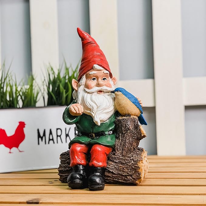 TZSSP Outdoor Gnome Statue Decoration Garden Statue Hand-Painted Statue with Bird Statue for Patio,Lawn,Garden Decoration