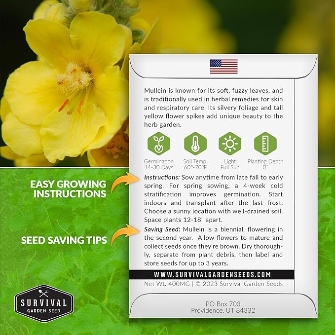 Mullein Seed for Planting - 2 Packets with Instructions to Plant and Grow Medicinal Herb Common Mullein in Your Home Vegetable Garden - Non-GMO Heirloom Variety - Survival Garden Seeds