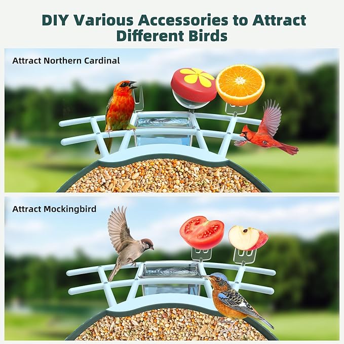 Smart Bird Feeder with Camera Solar Powered - 2K HD Live Video Camera AI Identify Birds, Visible Window Auto Capture& Motion Detection -Instant Arrival Alerts, Birds Lover Gifts