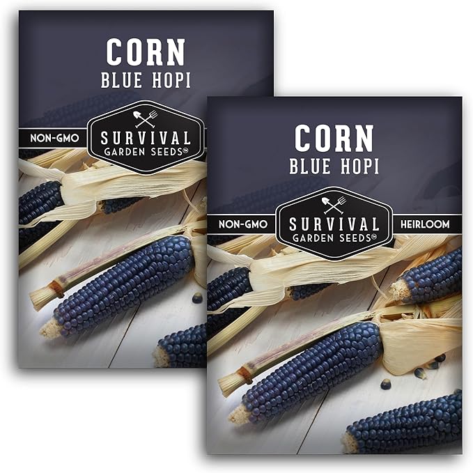 Blue Hopi Corn Seeds for Planting - 2 Packets with Instructions to Plant and Grow Heritage Blue Maize in Your Home Vegetable Garden - Non-GMO Heirloom Variety - Survival Garden Seeds