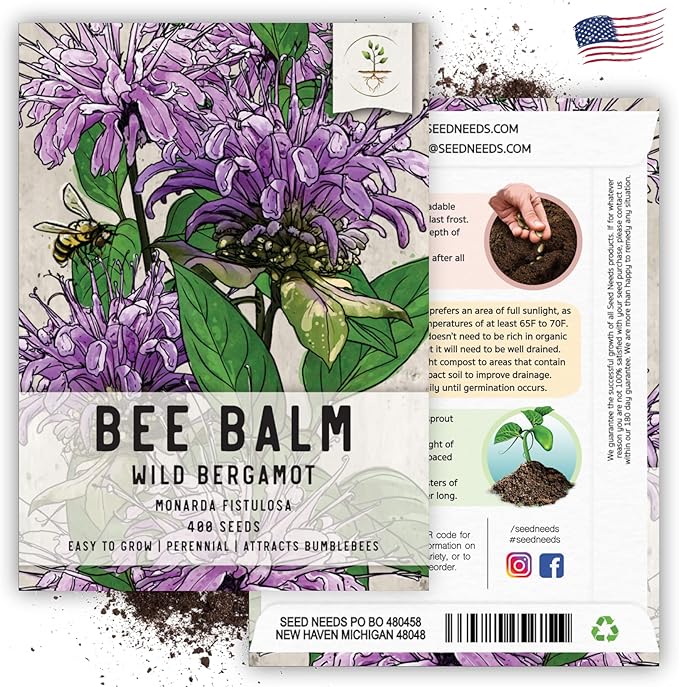 Seed Needs, Wild Bergamot Bee Balm Seeds - 400 Heirloom Seeds for Planting Monarda fistulosa - Attracts Honeybees, Bumblebees, Butterflies & Other Pollinators (2 Packs)