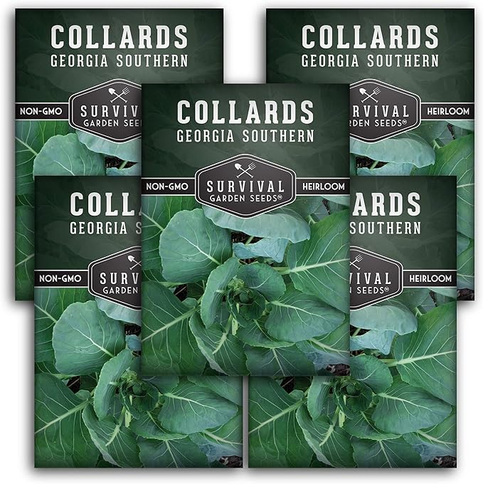 Survival Garden Seeds - Georgia Southern Collards Seed for Planting - Pack with Instructions to Plant and Grow Healthy Collard Greens in Your Home Vegetable Garden - Non-GMO Heirloom Variety - 5 Packs