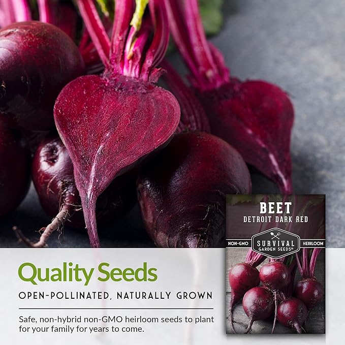 Survival Garden Seeds - Detroit Dark Red Beet Seed for Planting - 2 Packs with Instructions to Plant & Grow Delicious Root Vegetables in Your Home Vegetable Garden - Non-GMO Heirloom Variety Seed
