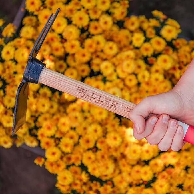 Adler - The Lily Garden Hoe, Heavy Duty Yard Tool Lawn Care, Loosening Soil, Weeding, and Digging, Steel Head 10.6 inches, Wood Handle 17.7 inches (Green)