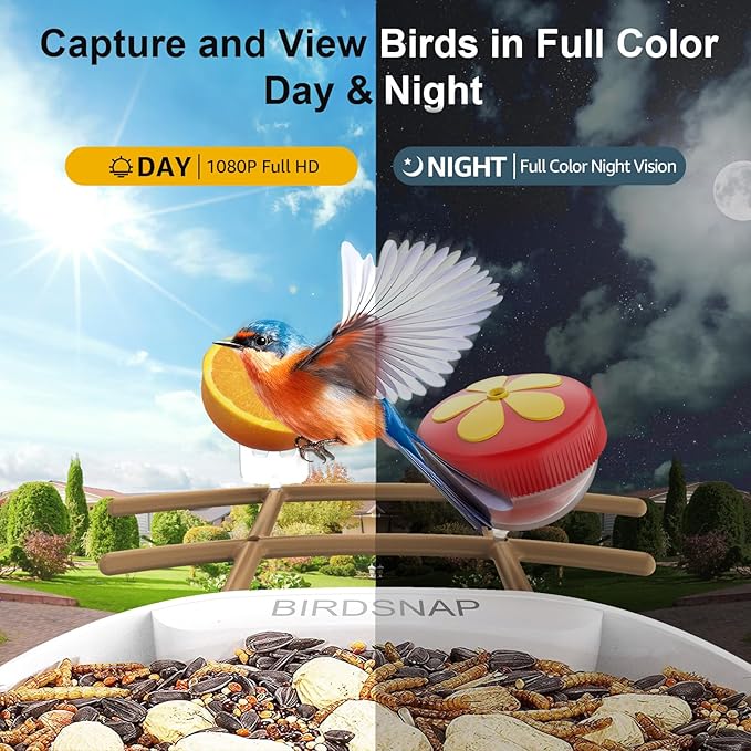 birdsnap® PAV- Smart Bird Feeder with Camera Solar Powered, 64GB Card & 2K HD Record Video Bird Camera Live with 5 DIY Add-ons, AI Identify Auto Capture, Ideal Gift for Birds Lover