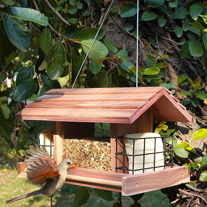 Large Cedar Wood Bird Feeder for Outdoors Hanging With 2 Suet Cages - Waterproof Garden Decoration