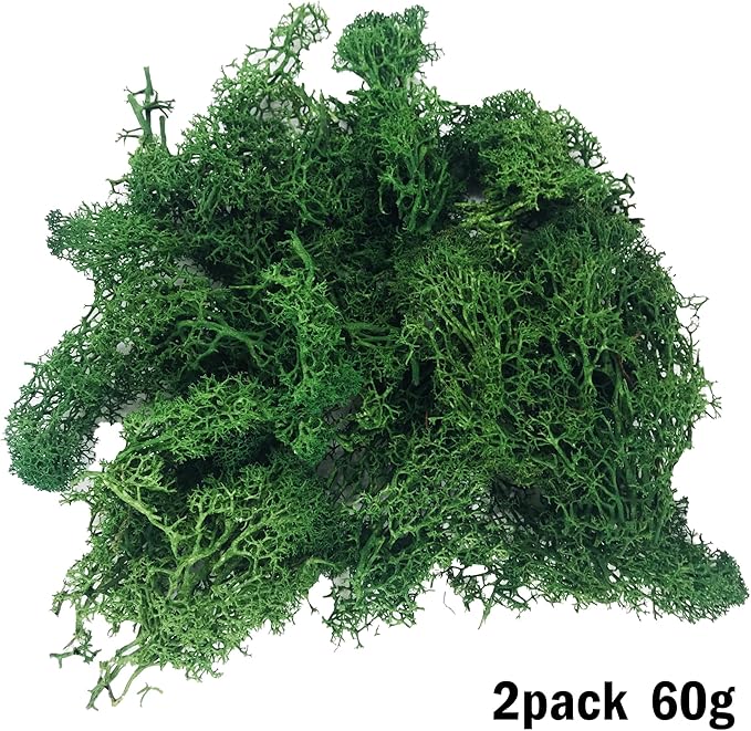 Cayway 83 PCS Fairy Garden Accessories Outdoor, Mixed Model Trees for DIY Craft Garden Decoration, SB-S571