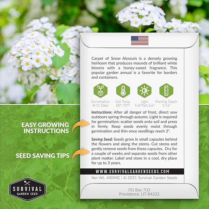 5 Packs Carpet of Snow Alyssum Seed for Planting with Instructions to Grow Lobularia maritima in Your Home Flower or Vegetable Garden - Non-GMO Heirloom - Survival Garden Seeds