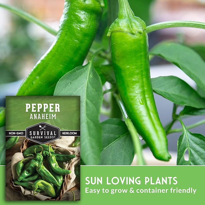 Survival Garden Seeds Anaheim Chili Pepper Seed for Planting - 2 Packets with Instructions to Plant & Grow Mild to Medium Hot Chile Peppers in Your Home Vegetable Garden - Non-GMO Heirloom Variety