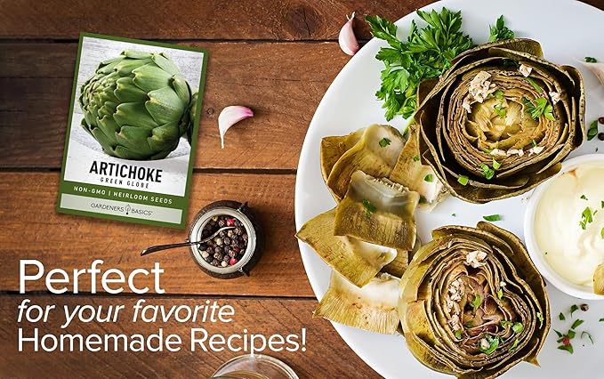 Gardeners Basics, Artichoke Seeds for Planting - Green Globe Non-GMO Perennial Vegetable Variety- 3 Grams Seeds Great for Summer Gardens
