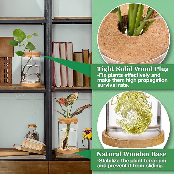 Plants Propagation Station - 2Pcs Desktop Plant Terrarium Glass Hydroponic Vases, Water Plant Propagating Jars, Gardening Gifts for Women Mom Plant Lovers (Thick Straight Shape, Separated Tray Style)